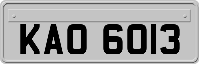 KAO6013