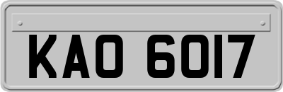 KAO6017