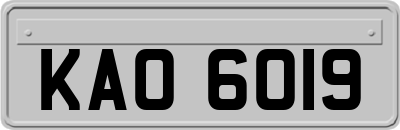 KAO6019