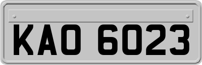 KAO6023