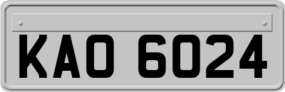 KAO6024