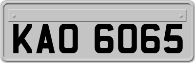 KAO6065