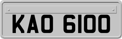 KAO6100