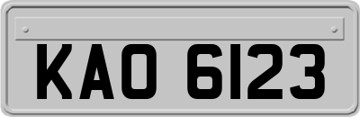 KAO6123