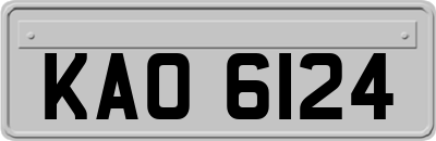 KAO6124