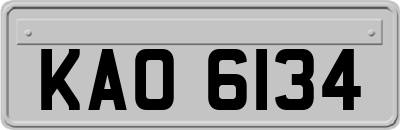 KAO6134