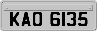 KAO6135