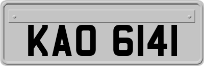 KAO6141