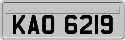 KAO6219