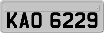 KAO6229