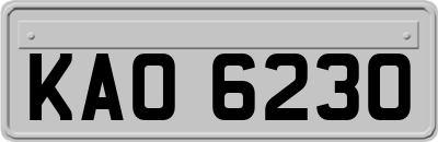 KAO6230