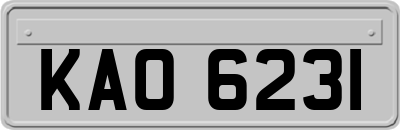 KAO6231
