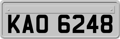 KAO6248