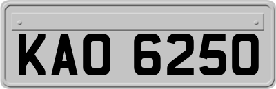 KAO6250