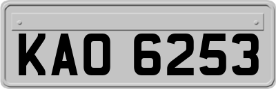 KAO6253
