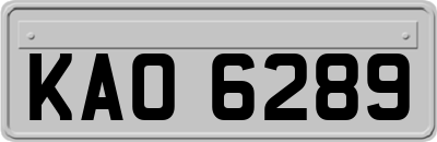 KAO6289