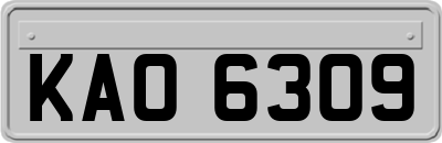 KAO6309