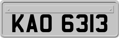 KAO6313
