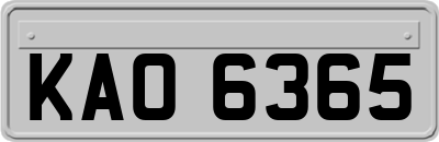 KAO6365