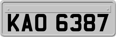 KAO6387