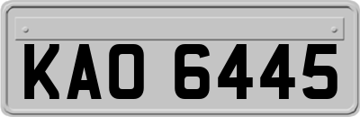 KAO6445