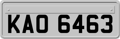 KAO6463