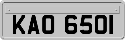 KAO6501