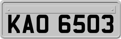 KAO6503