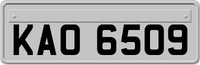 KAO6509