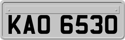 KAO6530