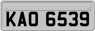 KAO6539