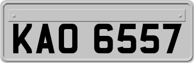 KAO6557