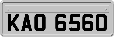 KAO6560