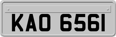 KAO6561