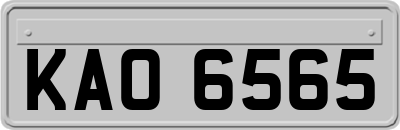 KAO6565