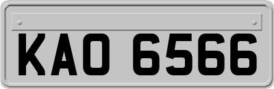 KAO6566