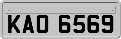 KAO6569