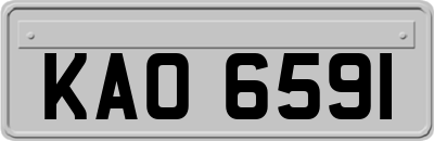 KAO6591