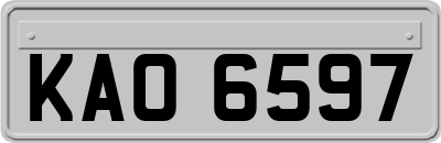KAO6597