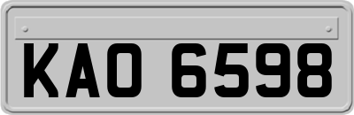 KAO6598