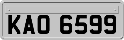 KAO6599