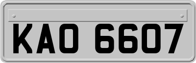 KAO6607