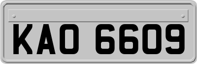 KAO6609
