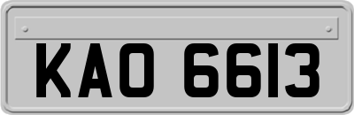 KAO6613