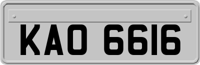 KAO6616