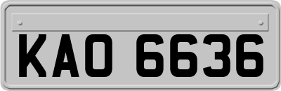 KAO6636
