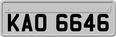 KAO6646