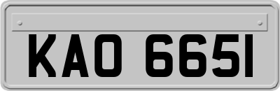 KAO6651