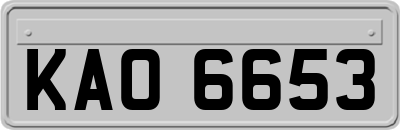 KAO6653