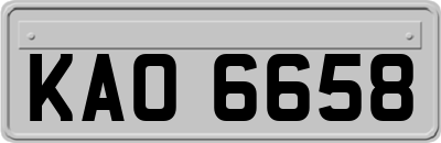 KAO6658
